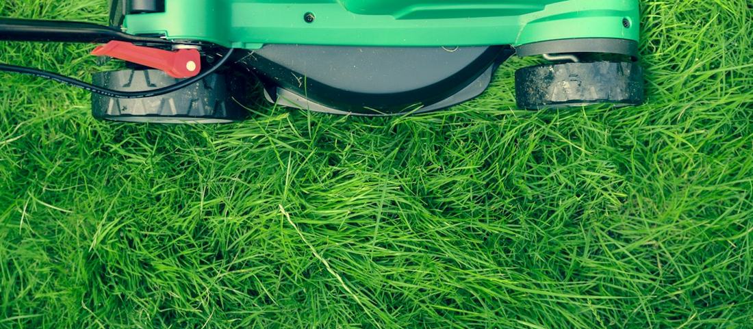 A mower on fresh-cut grass
